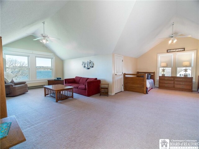 7 Sunset Ave, Busti, NY 14750 - photo 39