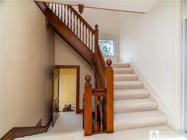 stairway featuring carpet
