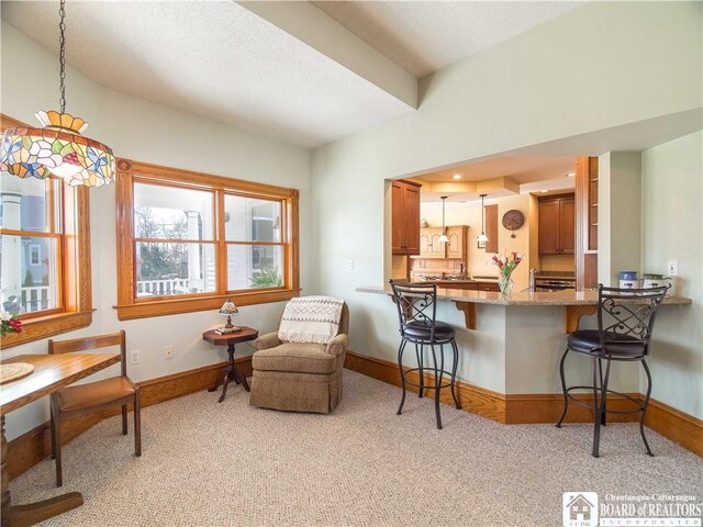 7 Sunset Ave, Busti, NY 14750 - photo 20