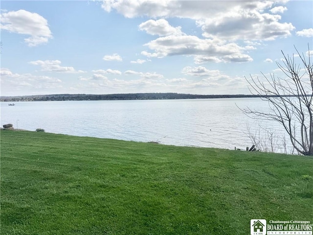 property view of water
