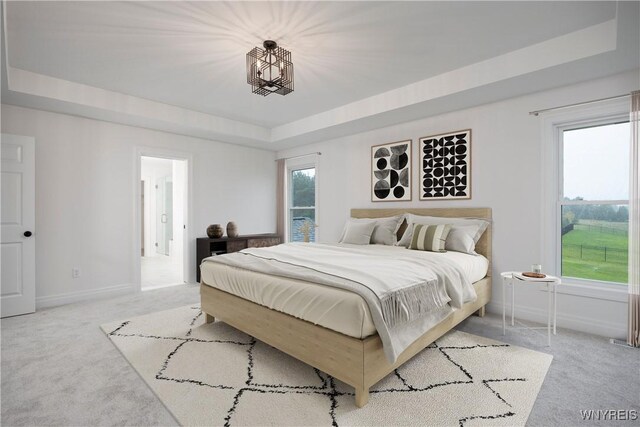 69 Woodthrush Trl, Orchard Park, NY 14127 - bedroom featuring a tray ceiling and carpet floors