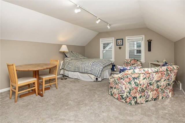 bedroom with rail lighting, lofted ceiling, baseboards, and carpet
