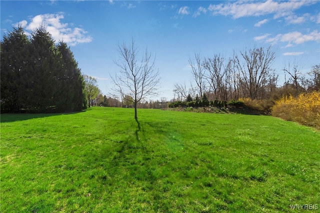 9545 Turnstone Dr, Clarence, NY 14031 - photo 1