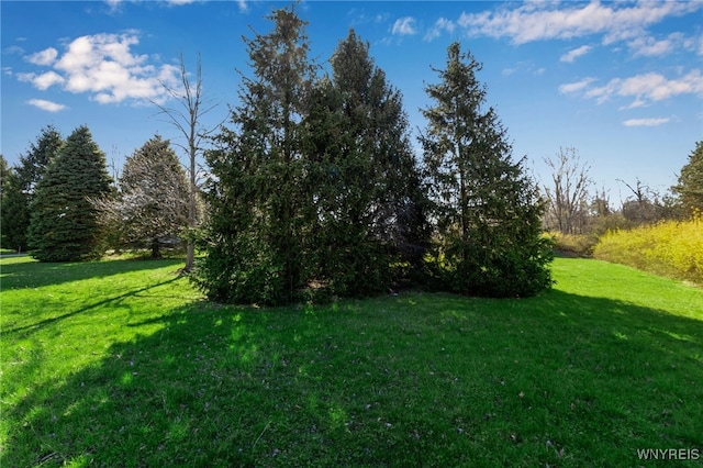 9545 Turnstone Dr, Clarence, NY 14031 - photo 2