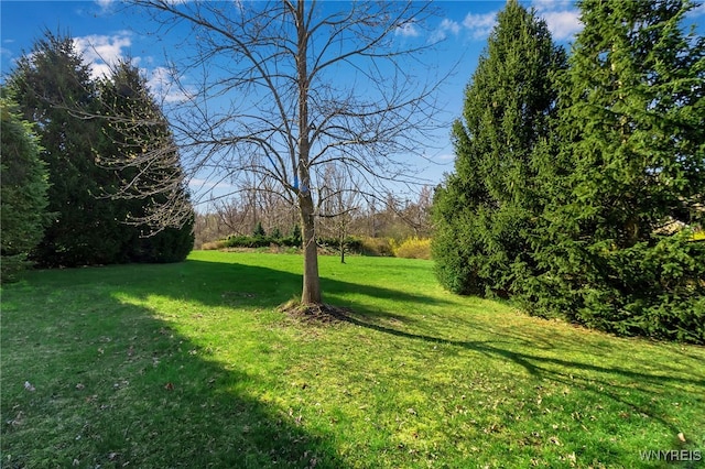 9545 Turnstone Dr, Clarence, NY 14031 - photo 4