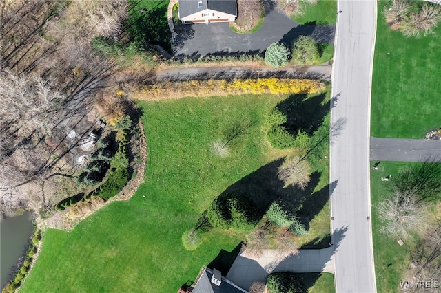 9545 Turnstone Dr, Clarence, NY 14031 - photo 6