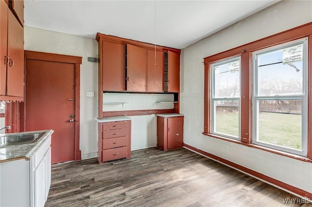 kitchen with dark wood finished floors, a sink, and light countertops