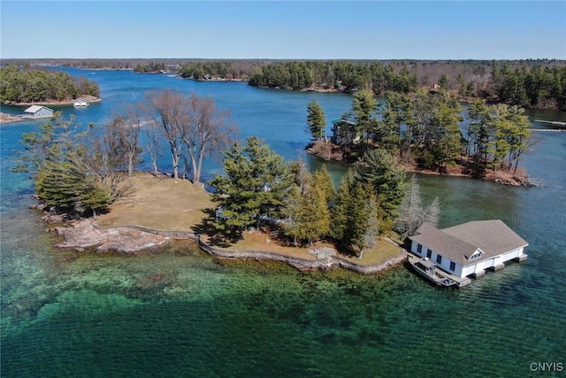 drone / aerial view featuring a view of trees and a water view