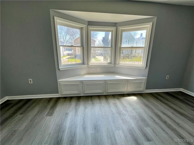 59 Park Ave, Tonawanda-City, NY 14150 - interior space featuring baseboards, wood finished floors, and plenty of natural light