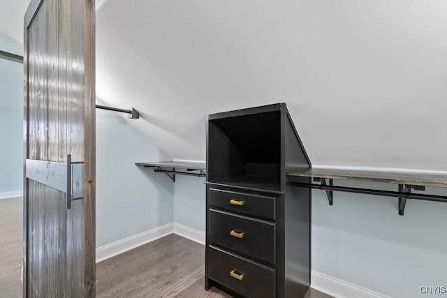walk in closet featuring dark wood finished floors