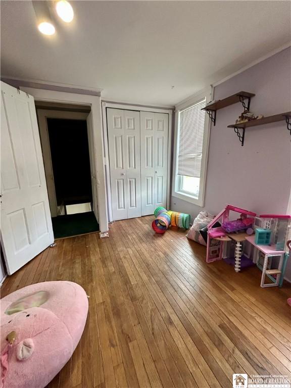 playroom with wood-type flooring