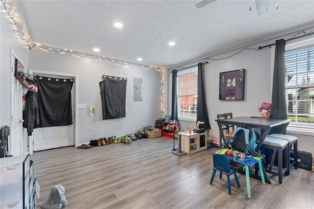 rec room with electric panel, wood finished floors, and a healthy amount of sunlight
