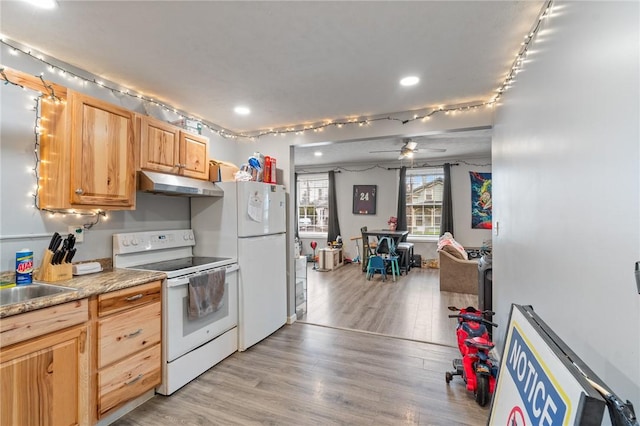 kitchen with recessed lighting, light wood-style floors, a ceiling fan, white appliances, and under cabinet range hood