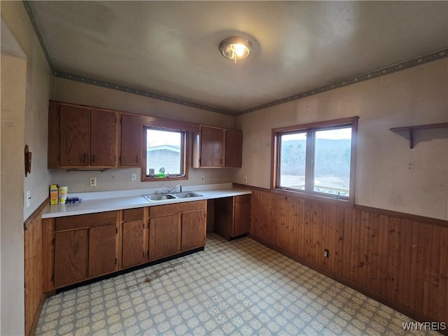 kitchen with light countertops, a wealth of natural light, a wainscoted wall, and a sink
