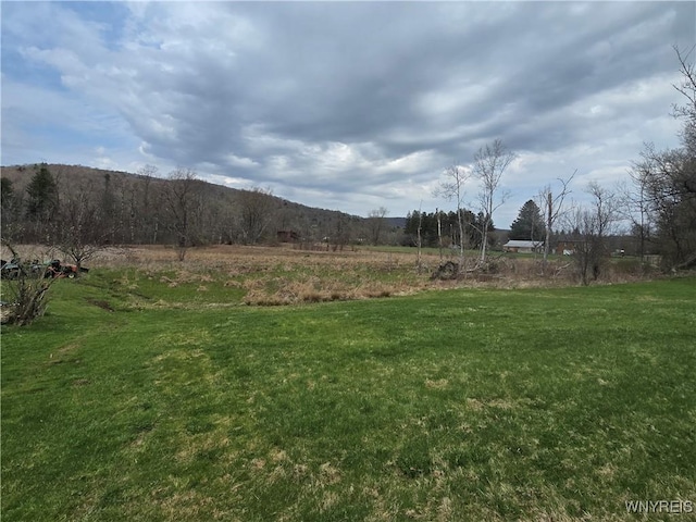 view of yard featuring a rural view