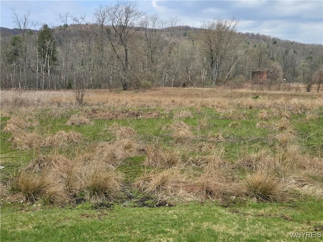 view of local wilderness with a rural view and a wooded view