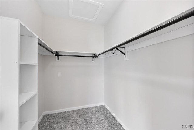 7717 Roberts St, Lenox, NY 13032 - walk in closet featuring carpet floors