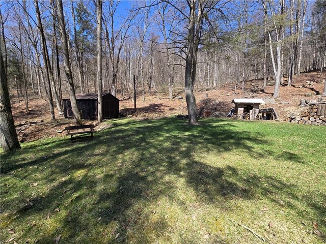 view of yard with an outbuilding and a storage shed