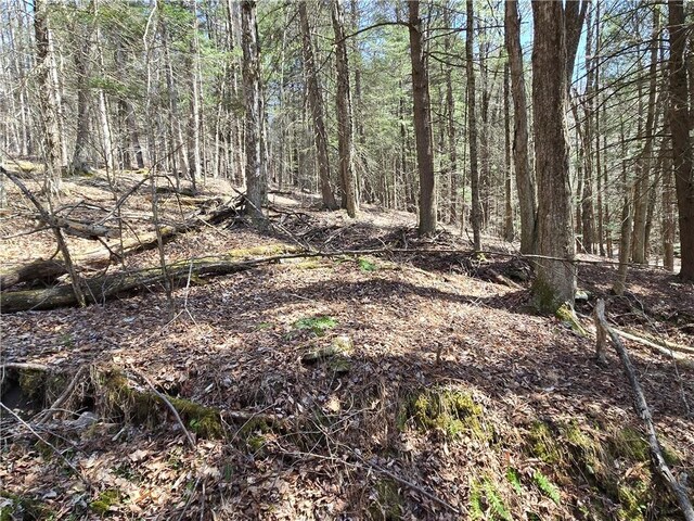 view of nature featuring a wooded view