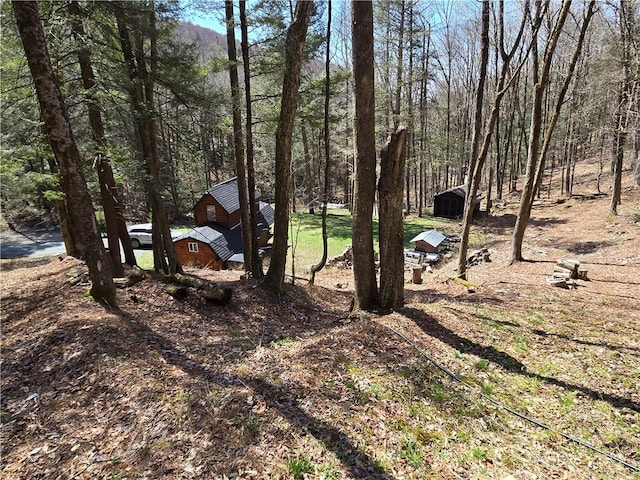 view of yard featuring an outbuilding and a storage unit