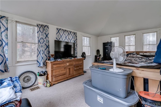 5410 N Shore Rd, Greig, NY 13312 - carpeted living room with vaulted ceiling and visible vents