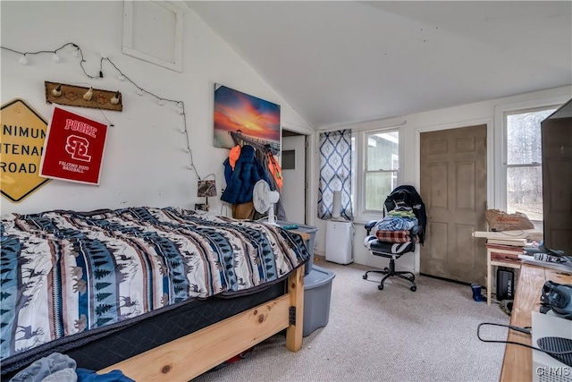 5410 N Shore Rd, Greig, NY 13312 - carpeted bedroom featuring lofted ceiling and multiple windows