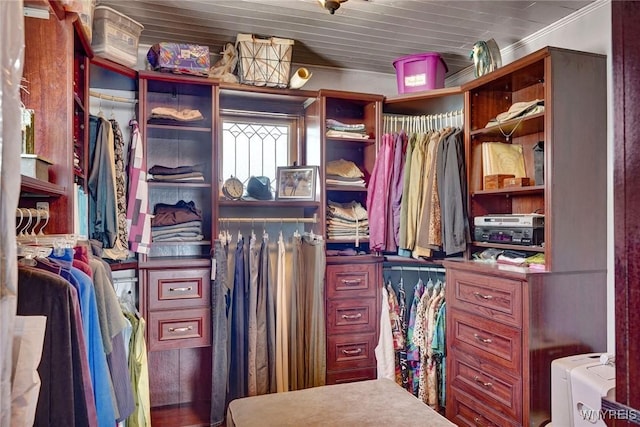 view of spacious closet
