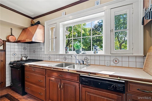 kitchen with a sink, decorative backsplash, black range with gas cooktop, custom range hood, and ornamental molding