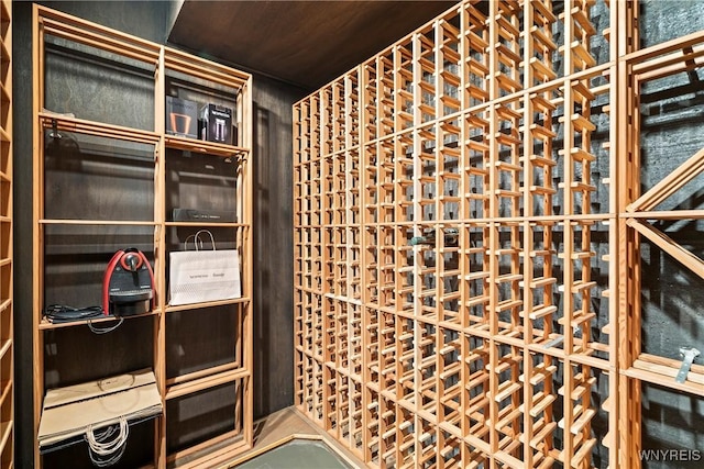 view of wine cellar