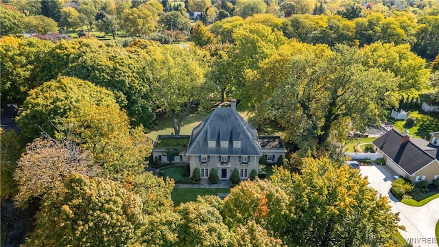 aerial view with a view of trees