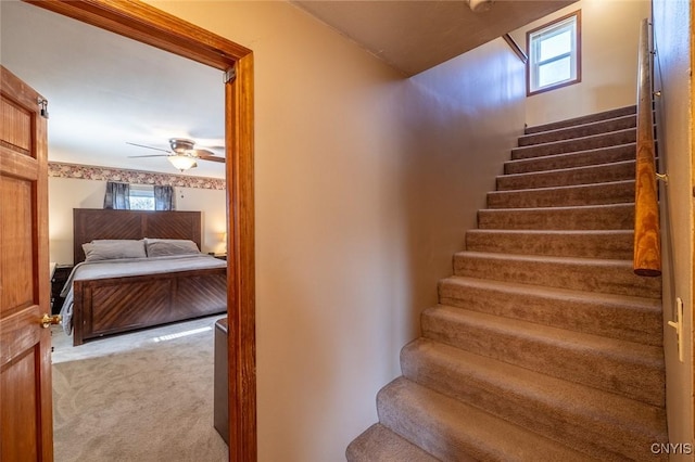 stairway with ceiling fan, a wealth of natural light, and carpet