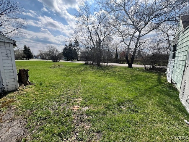 view of yard