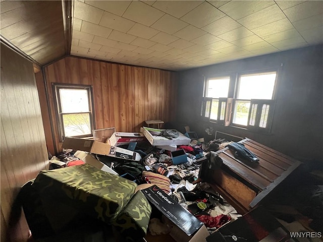 miscellaneous room featuring lofted ceiling, wood walls, and a healthy amount of sunlight