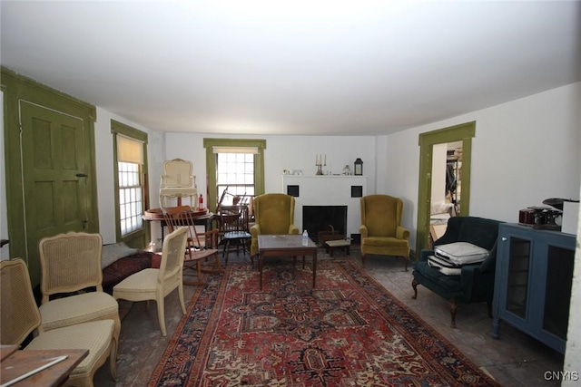 living area with a fireplace