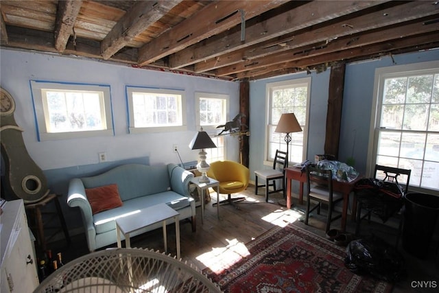 living area featuring wood finished floors