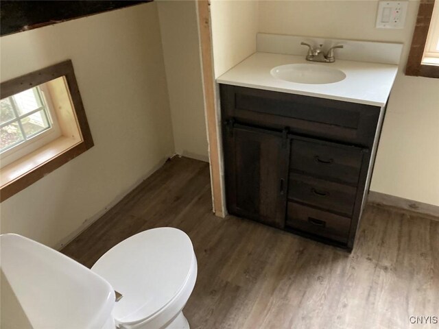 bathroom with toilet, vanity, and wood finished floors