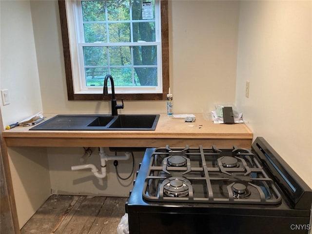 5081 Military Rd, Russia, NY 13431 - interior details featuring a sink and black gas range oven