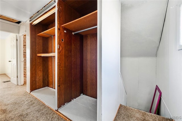 closet with visible vents