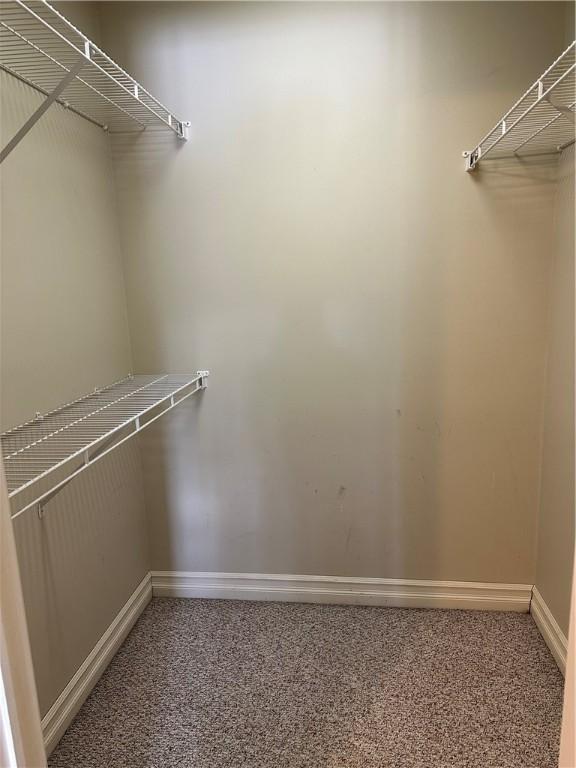 walk in closet featuring light colored carpet