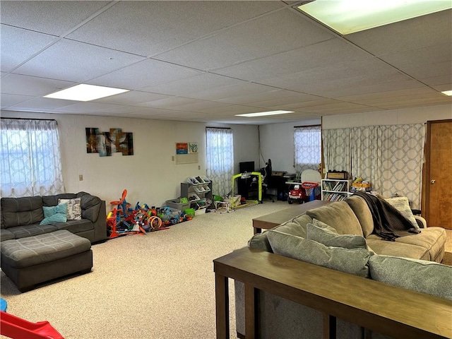 living room featuring a healthy amount of sunlight, carpet, and a paneled ceiling