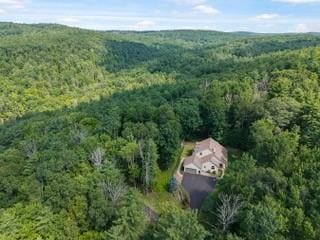 3148 Goff Rd, Corning, NY 14830 - photo 36