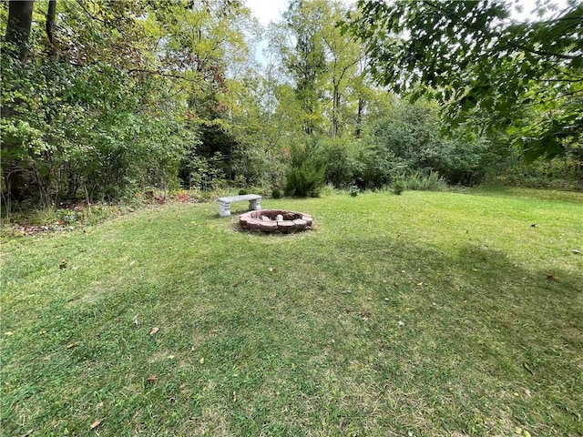 view of yard with an outdoor fire pit