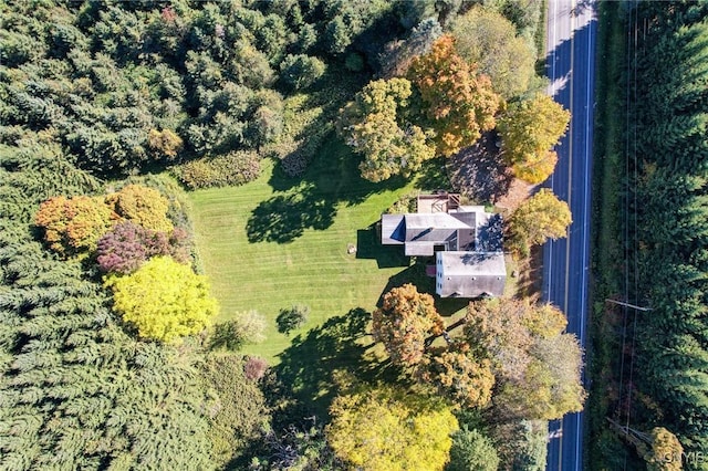 bird's eye view