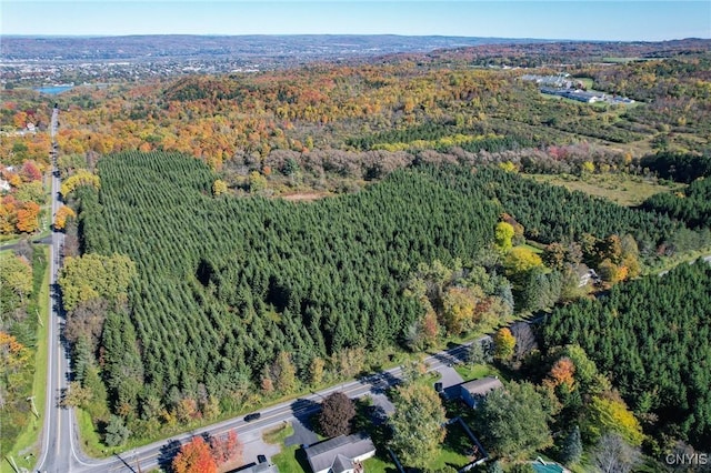birds eye view of property featuring a forest view