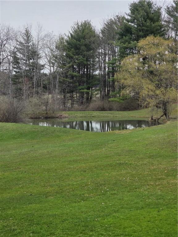 view of yard featuring a water view