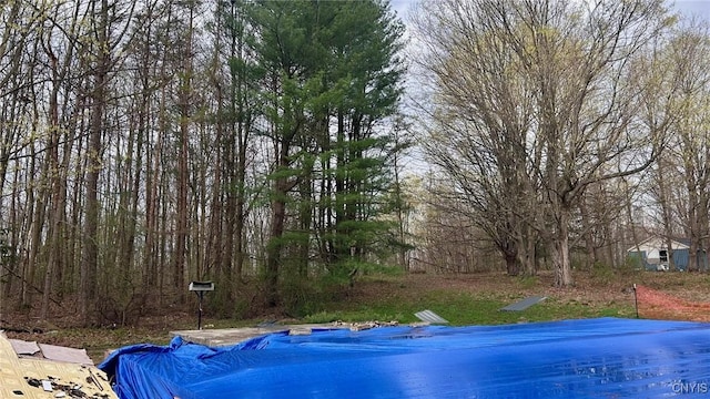 377 Kingdom Rd, Volney, NY 13126 - photo 5