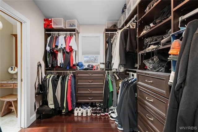 spacious closet with wood finished floors