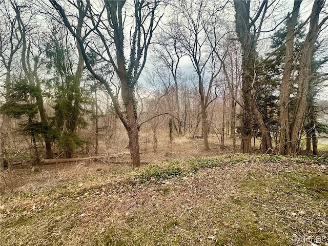 view of landscape