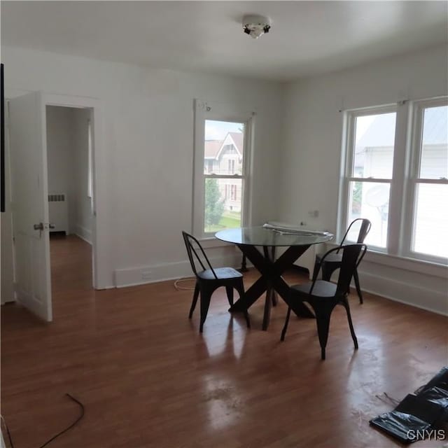 dining area featuring baseboards, radiator heating unit, wood finished floors, and plenty of natural light