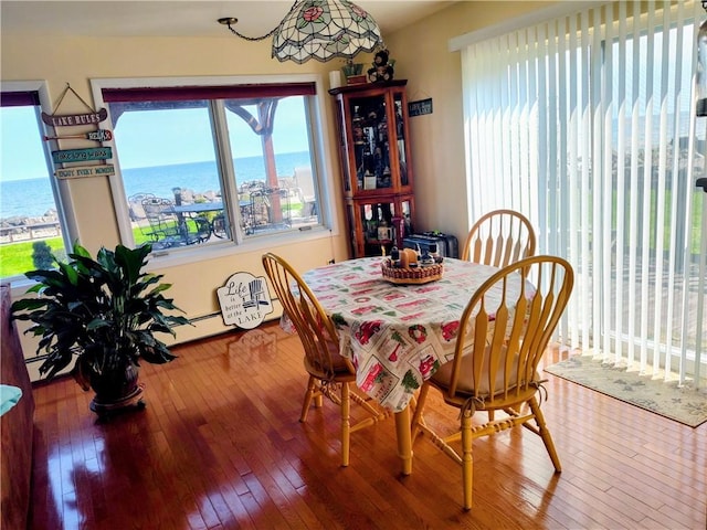 dining area featuring a wealth of natural light, hardwood / wood-style floors, and a water view